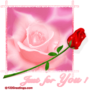 la fleur roge
