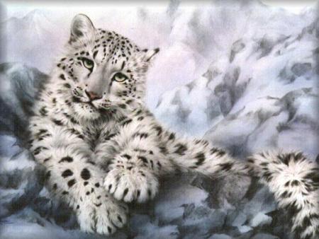 le tiger