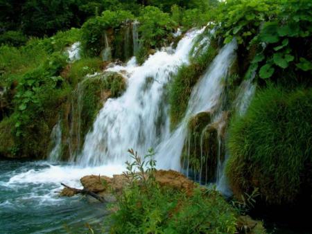 la nature
