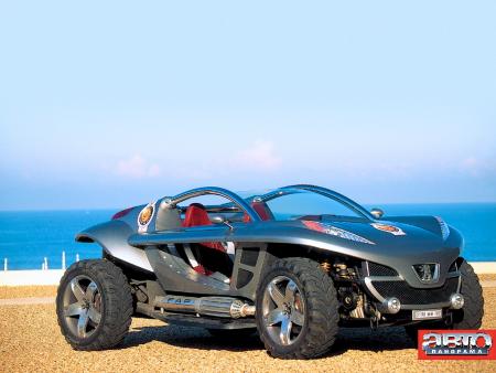 peugeot  hoggar