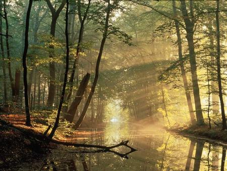 j'aime la nature